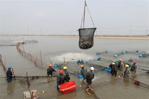 河北卢龙：特色淡水水产养殖铺就致富路-河北经济网-长城网
