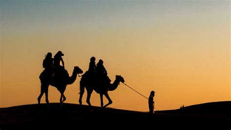 Who were the Magi? - Curious about the Bible articles - Bible Society