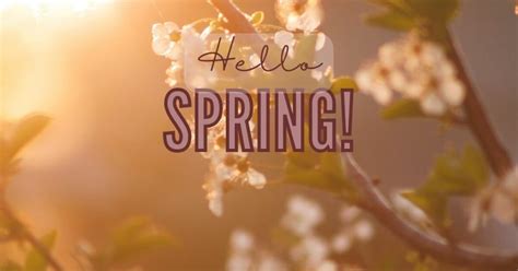 Image result for Spring Time Starts