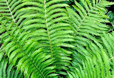 Image result for Mathematical Foundations of Computing Logic Table