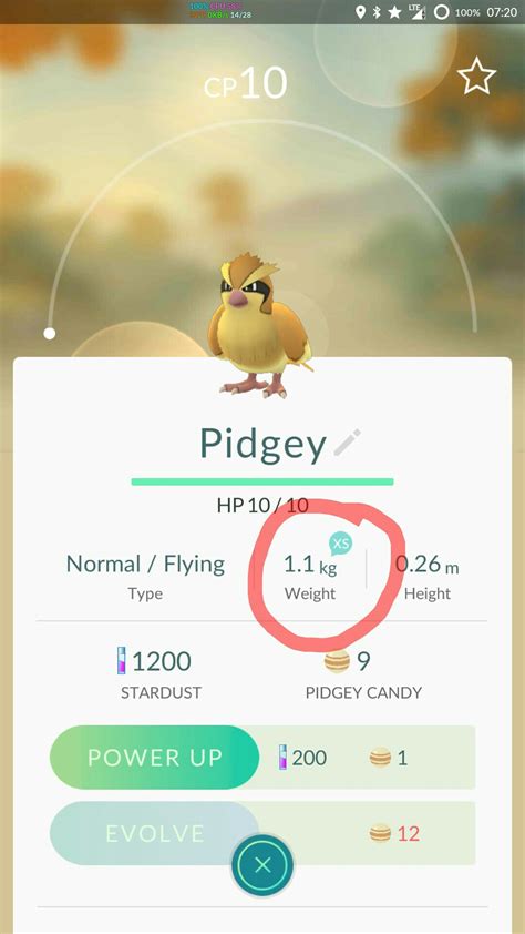 Pidgey Evolution Level