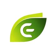 Emergent Ind Soln Share Price Today - Emergent Indl Soln Stock Price ...