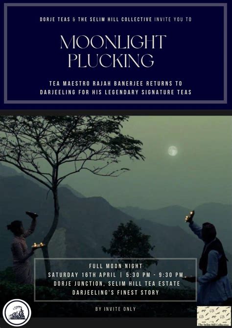 Moonlight Sonata | Dorje Teas