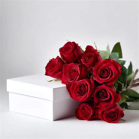 Roses: Beautiful Flowers for Any Occasion