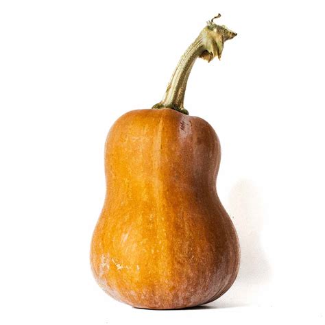 Roasted squash seeds (extra crispy!)