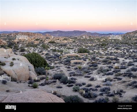 Landscape in Joshua Tree National Park, California, USA, where the Mojave and Colorado desert ...