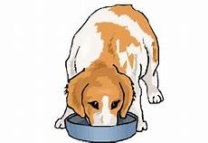 ausmalbilder hunde mischlinge hunde zum ausdrucken kostenlos ausmalbilder hunde mischlinge hunde zum ausdrucken kostenlos