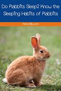 Image result for How Do Rabbits Sleep
