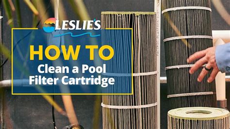 Image result for How to Clean a Pool Filter