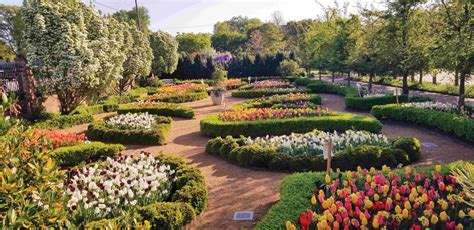 This Spring at Paul J. Ciener Botanical Garden – Kernersville Magazine
