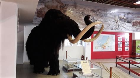 KOSTENKI STATE ARCHEOLOGICAL MUSEUM PRESERVE (2026) All You SHOULD Know ...