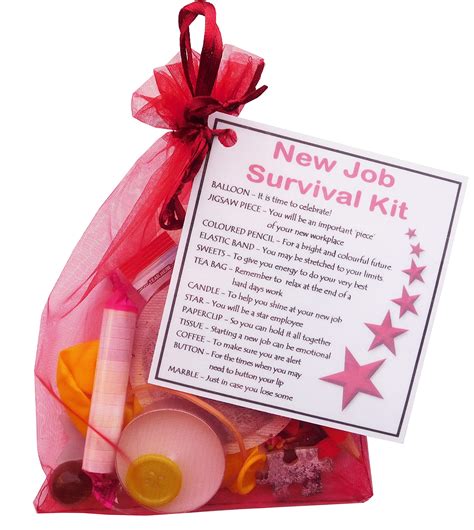 New Job Survival Kit Gift (Great novelty gift or alternative to a card ...