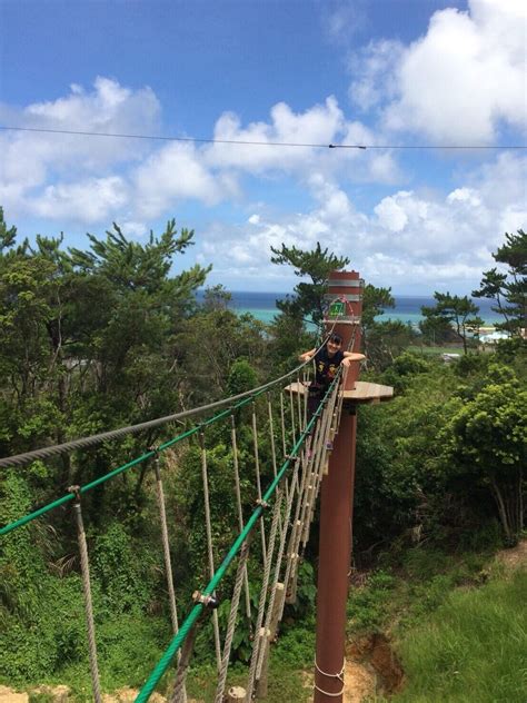 Forest Adventure 的图像结果