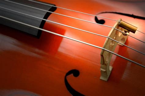 Image result for String Instruments Cello