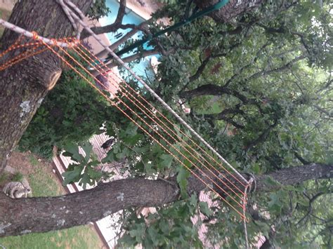 Image result for How to Bilde a Tree Nete