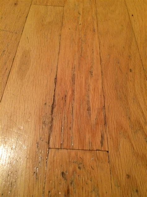 Wood Floor Damage Repair – Clsa Flooring Guide
