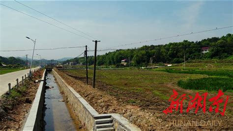 东至县洋湖镇修筑两万余米沟渠助推高标准农田建设|中安在线池州频道|东 至