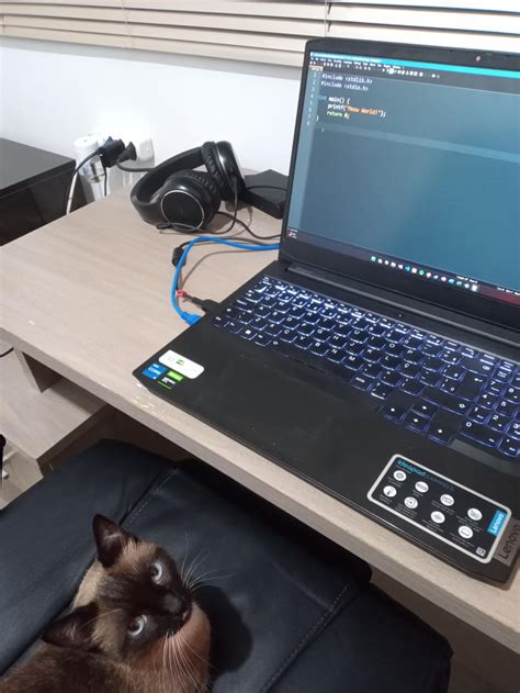 Image result for Software Developer Ep 9