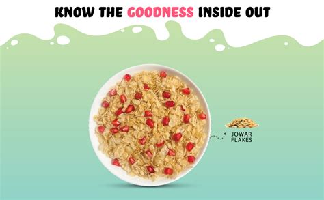 True Elements Jowar Flakes 450gm - Plain Jowar Flakes | Fiber Rich ...