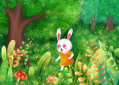 森林里走过来的兔子flash动画_站长素材