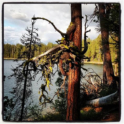 South Twin Lake Campground | Bend, OR