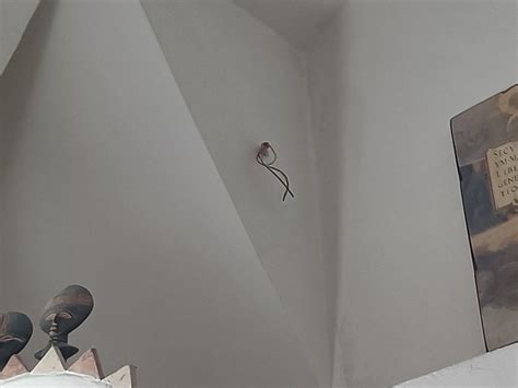 TORRE DEL MIRACOLO (Tuscania, Italy - Lazio) - Specialty B&B Reviews ...