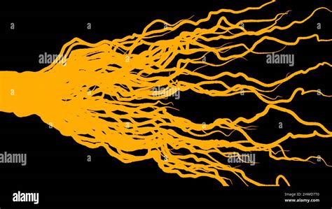 Image result for Roots Compressor Animation