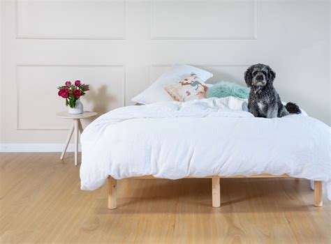 Finley Flooring - Finley Flooring Xtra - Armstrong Flooring
