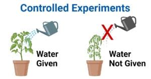 Image result for Controlled Experiment Explained