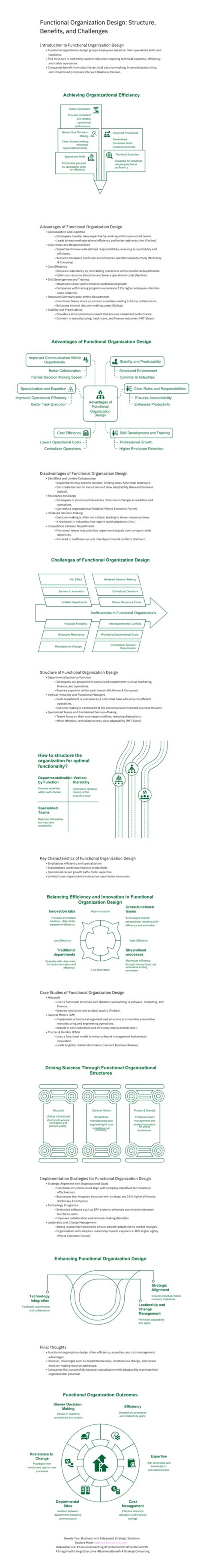 Functional Organization Structure 的图像结果