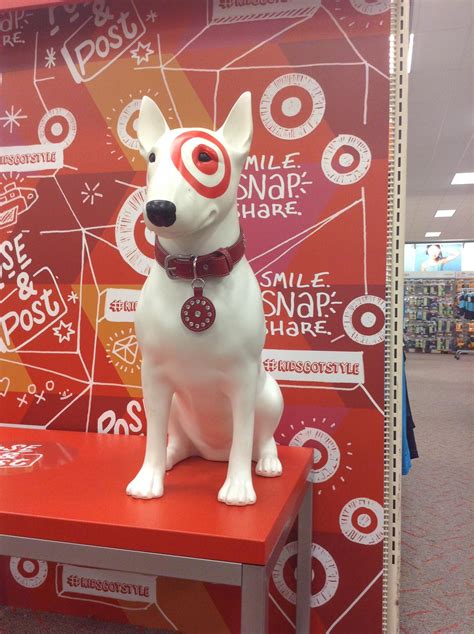 Target Dog Rules | The Cake Boutique