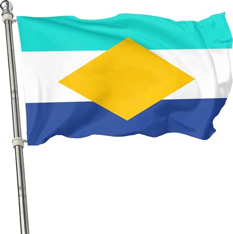 CLYTTE Snowchester Flag 3x5 Ft - Double Stitched Dreamsmp India | Ubuy