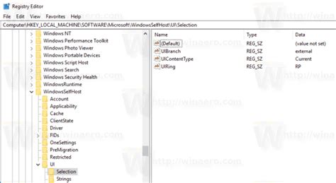 Image result for Windows Insider Program Regedit