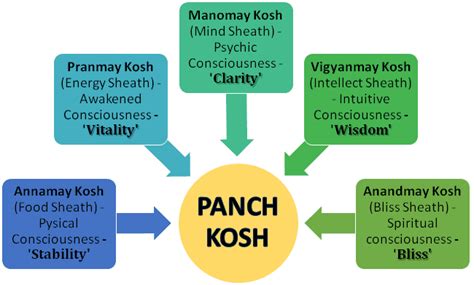 Top Holistic Development Colleges Pune -MIT School of Holistic Development