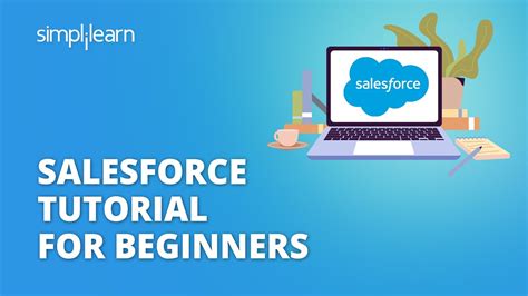 Image result for Salesforce Basic Tutorial