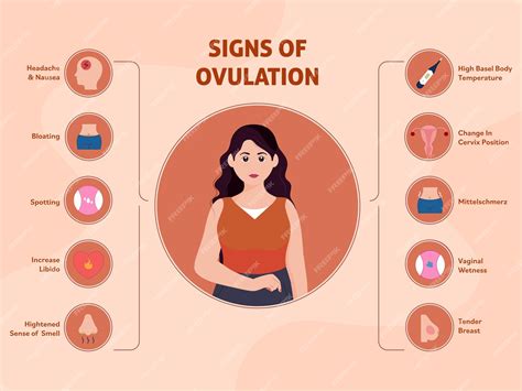 Understanding Weight Gain During Ovulation