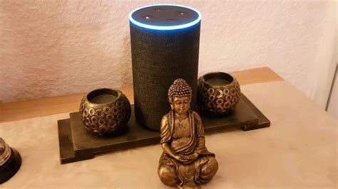 Alexa Self-Destruct Code 的图像结果