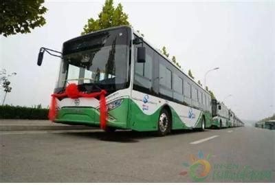 邯郸市200部新能源公交车盛装亮相-国际能源网能源资讯中心