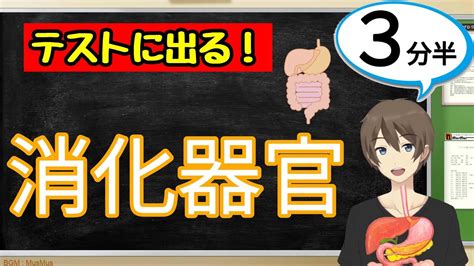 Image result for Python Languageflyer