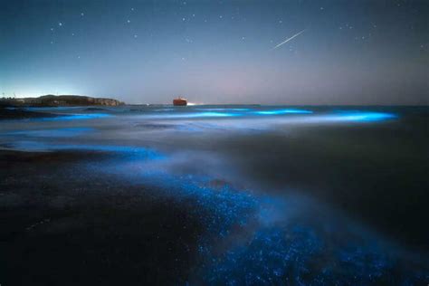 These beautiful Indian beaches glow in the dark! | Times of India Travel