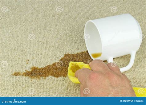 Cleaning Coffee Stain from Carpet Stock Photo - Image of coffee, claim ...