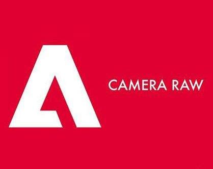 Camera Raw Parte 2-2