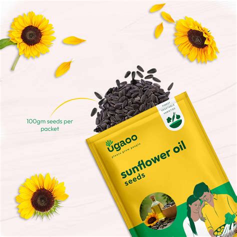 Buy Quality Microgreen Seeds In India for Fresh, Nutritious Harvests ...