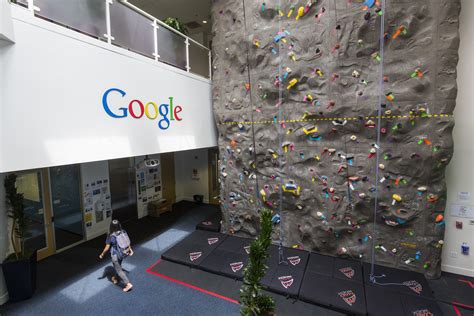Former Google Employee Reveals the Dark Side of Tech Company Perks ...