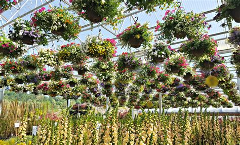 Best Nursery In Vancouver Wa at Lee Ramirez blog