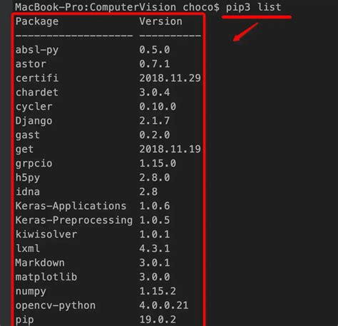Pip Install Python Library 的图像结果