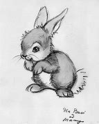 Image result for Baby Bunny Bellies Plant Hanging