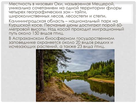 Image result for Color Coding Process Flow