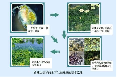 水环境生态治理行业领先 太和水登陆A股_中国经济网——国家经济门户