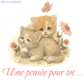 gifs pensee